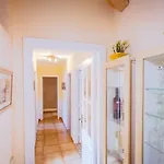 Villa Hibiscus Centrum Private Pool Family *